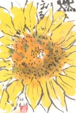 ひまわり